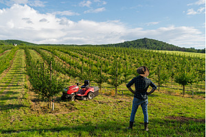 A mature farmer walking outdoors in, a Person Photo by HalfPoint