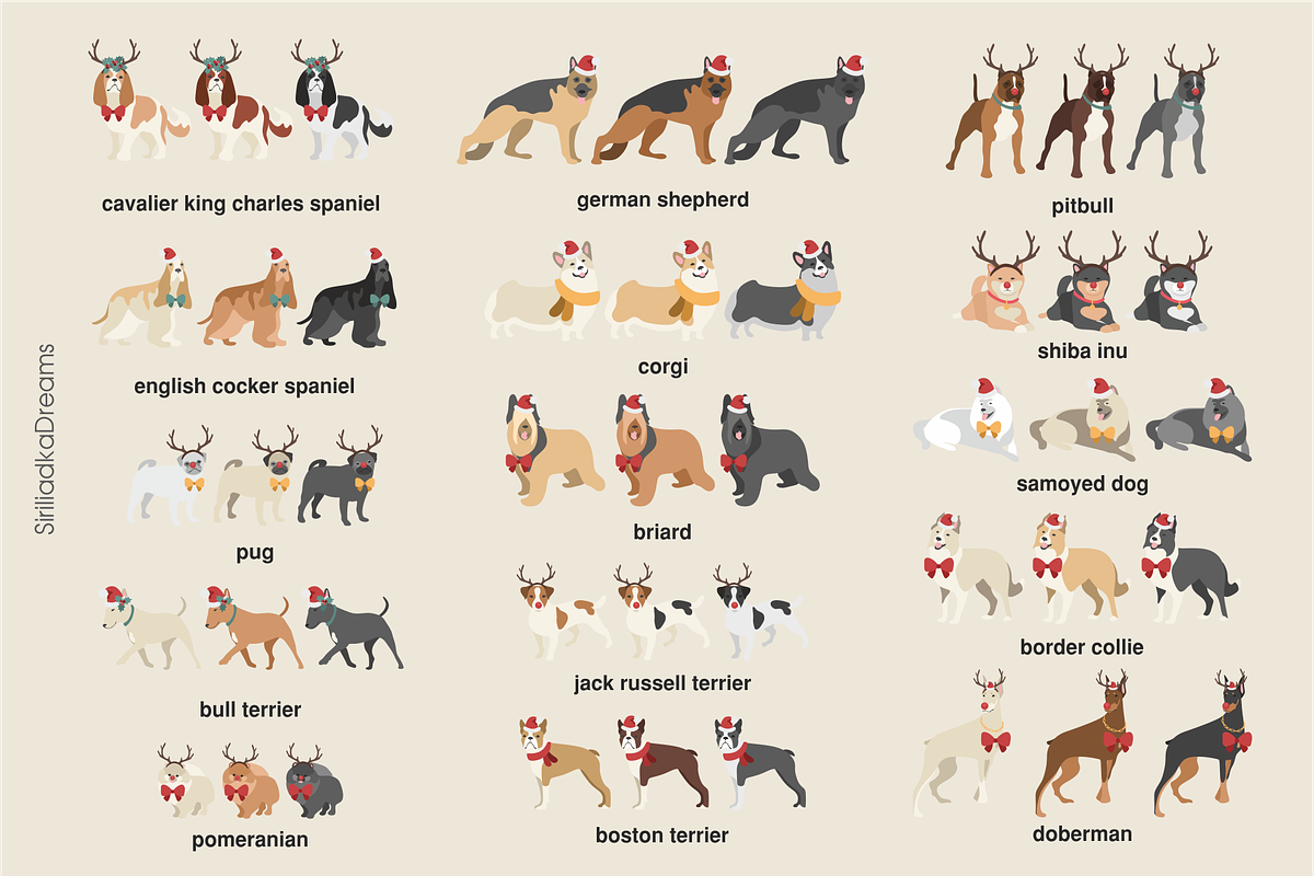 Christmas and New Year dogs clipart, an Illustration by Siriliadka Dreams (Photo 5 of 8)