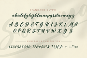 Soraya – Flowing Script Typeface, a Script Font by Ginart (Thumbnail 8 of 9)