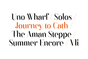 Black Goose Typeface - 5 fonts, a Serif Font by VP Fonts (Thumbnail 10 of 15)