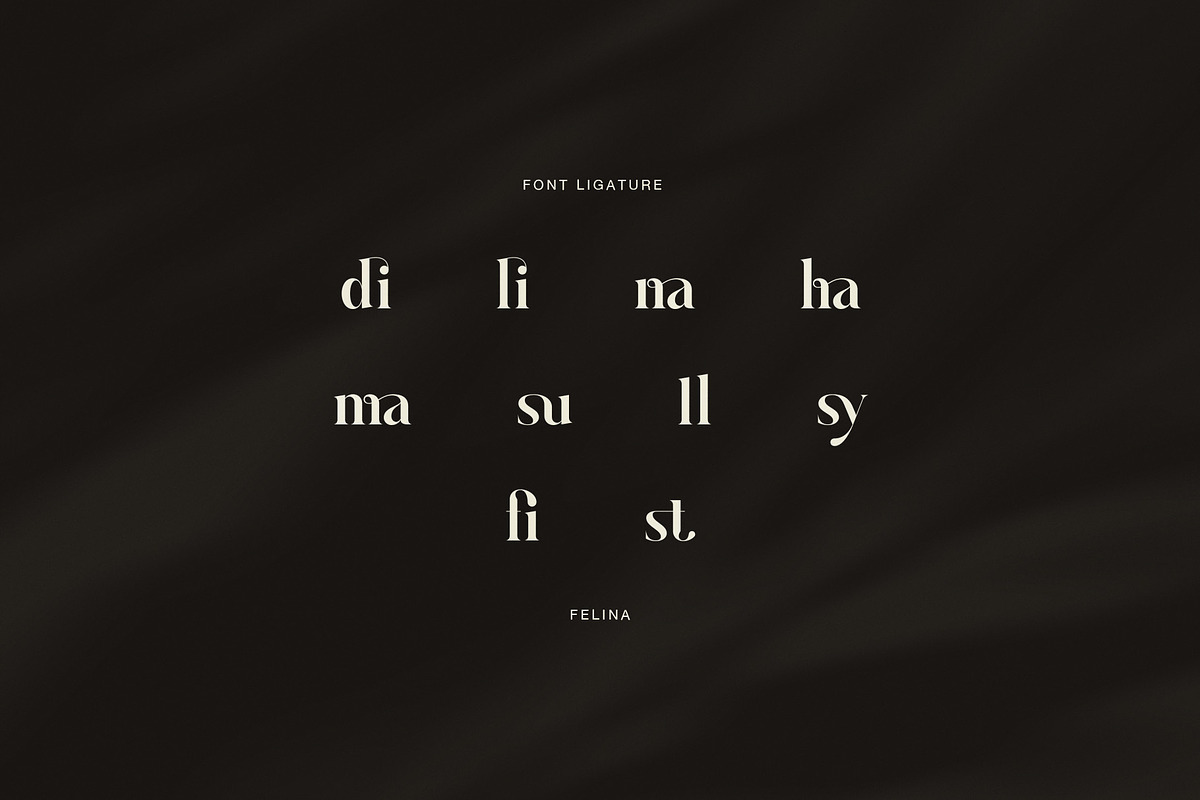 Felina Elegant Serif Font, a Serif Font by Graphicxell (Photo 8 of 8)