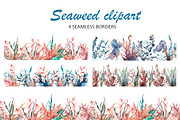 Water Plants Seaweed Clipart, an Object Illustration by Evgeniia (Thumbnail 3 of 5)