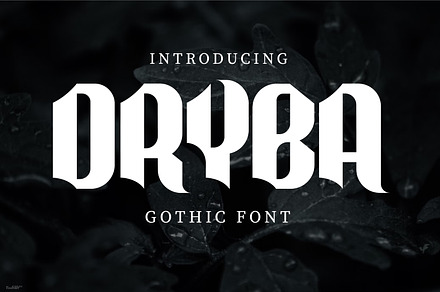 Dryba Modern Gothic, a Serif Font by Gumrega Studio