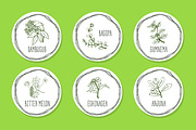 Ayurvedic Herb Collection, an Object Graphic by AV Design (Thumbnail 4 of 5)
