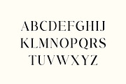 Allure Majestic Serif Family Font, a Serif Font by UICreative (Thumbnail 2 of 12)