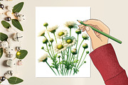 Daisy Flower Watercolor Cliparts, an Illustration by RobertsArt (Thumbnail 7 of 7)