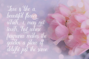 Angella Beauty Srcipt Font, a Script Font by Graphicxell (Thumbnail 3 of 10)