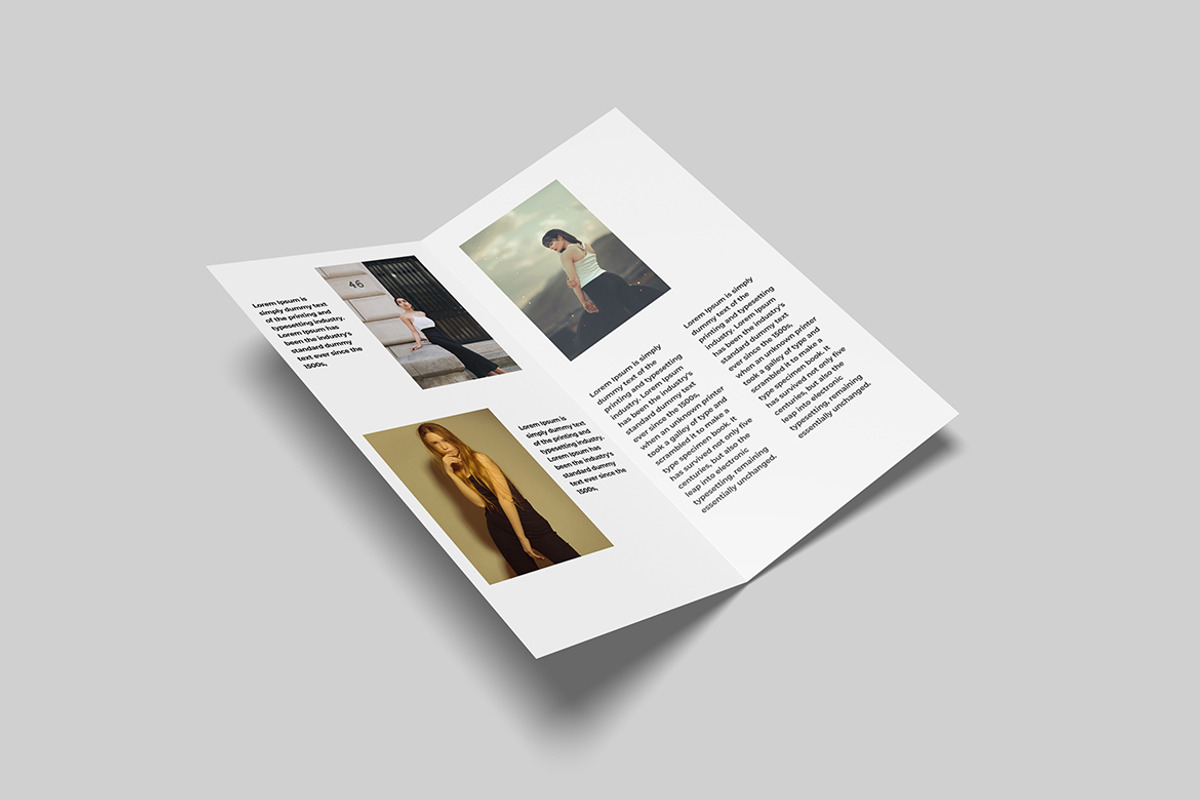 DL Bifold Mockup, a Books & Magazine Mockup by mahhyud (Photo 7 of 7)