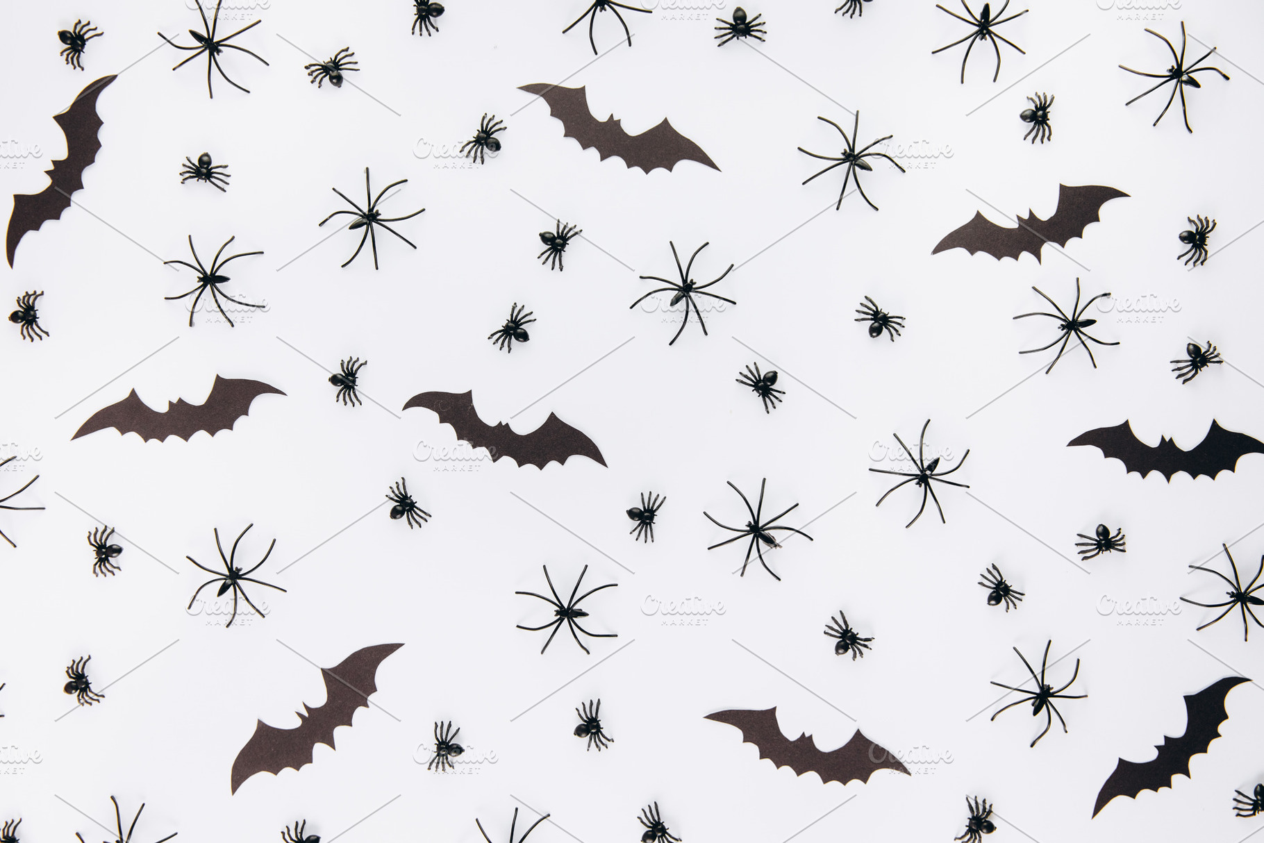 Halloween decorations featuring decorative, white, and pattern, a Holiday Photo by Cherkas Photography