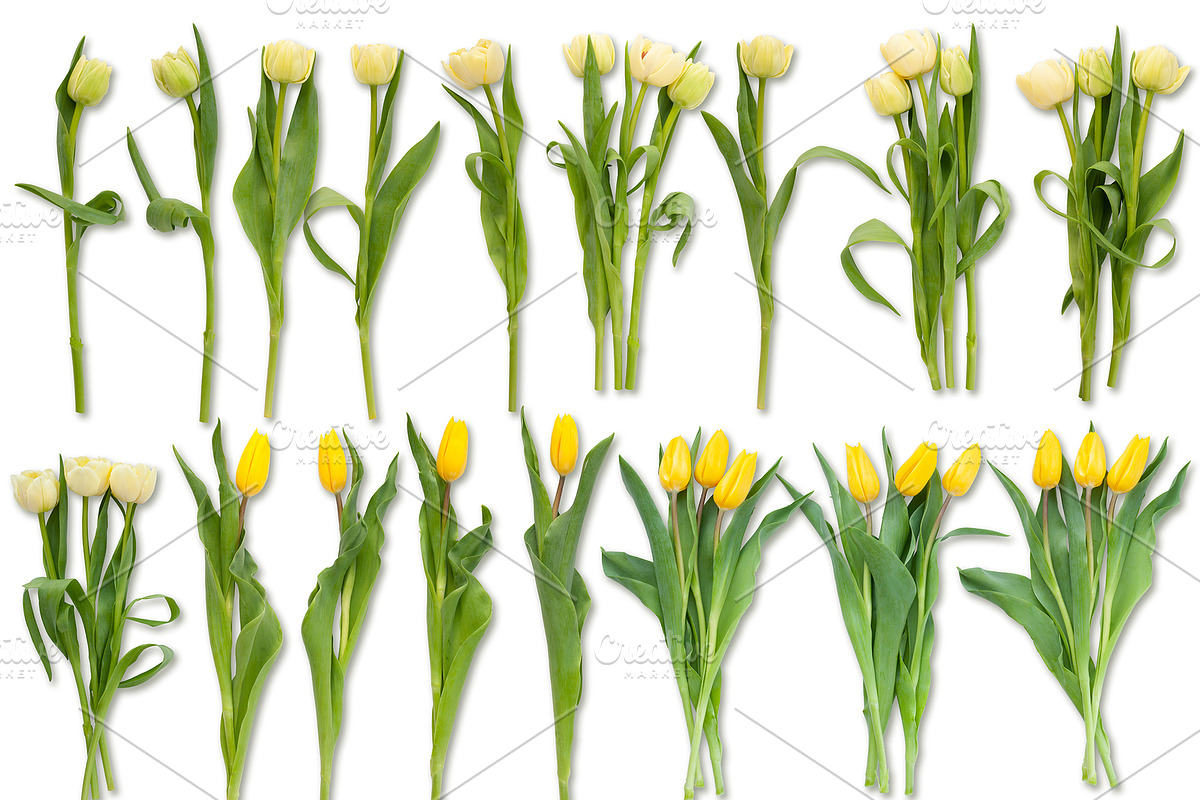 Scene Creator Colorful Spring&Easter, a Product Mockup by Anna_Zubkova (Photo 6 of 7)