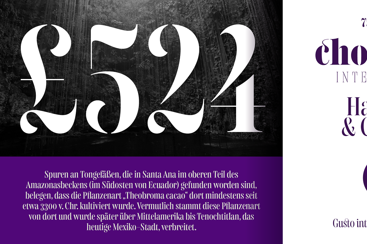 Gabriela Stencil Condensed, a Font by Lechuga Type (Photo 10 of 17)