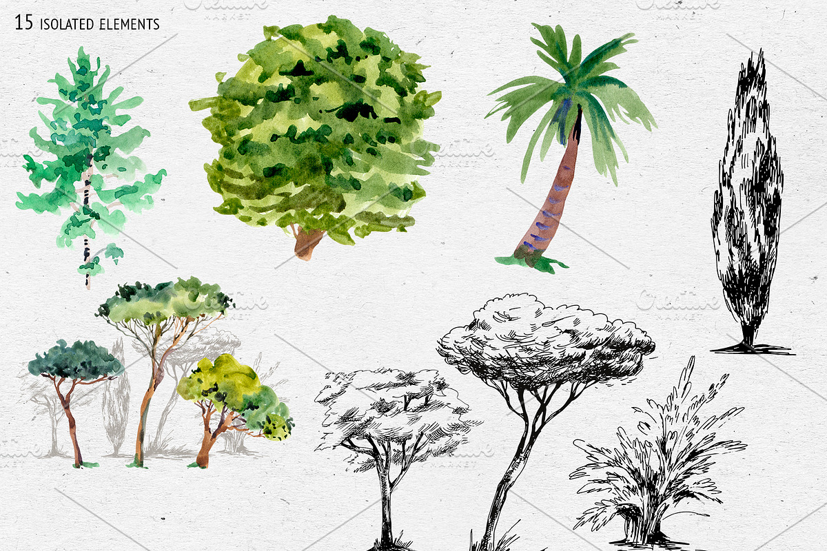 Watercolor Tree Clipart, an Illustration by Belusuab (Photo 4 of 10)