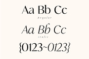 Analogue - Stylish Modern font, a Serif Font by Tropical Type (Thumbnail 13 of 13)