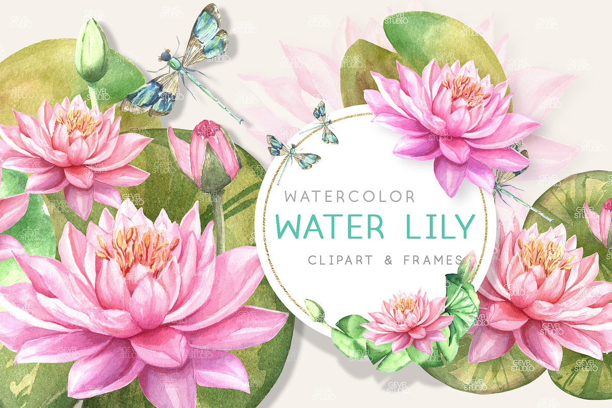 Watercolor Pink Waterlily clipart, an Illustration by GevelStudio (Photo 1 of 5)