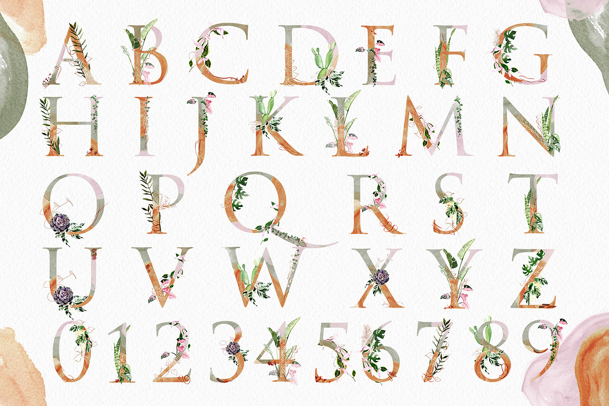 Houseplant Botanical Alphabet Letter, an Illustration by Cacacolors Clipart (Photo 2 of 4)