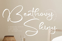 Beathovy Skiny