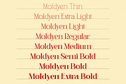 Moldyen Font Family, a Serif Font by MJtypefoundry (Thumbnail 2 of 10)