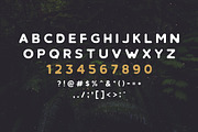 Retrospective Bundle - Fonts & Logos, a Handwritten Font by Roman Paslavsky (Thumbnail 16 of 18)
