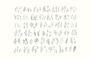 Winter Foliage collection, a Decorative Illustration by Merfin (Thumbnail 4 of 14)