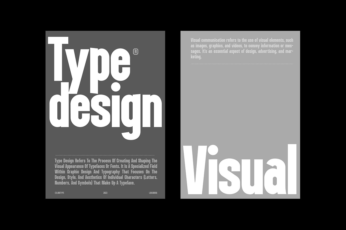 Lokanova - Modern Bold Font, a Sans Serif Font by limitype (Photo 12 of 17)
