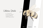 85 forest animal clip art, an Animal Illustration by Poppy Lane Studio (Thumbnail 8 of 10)