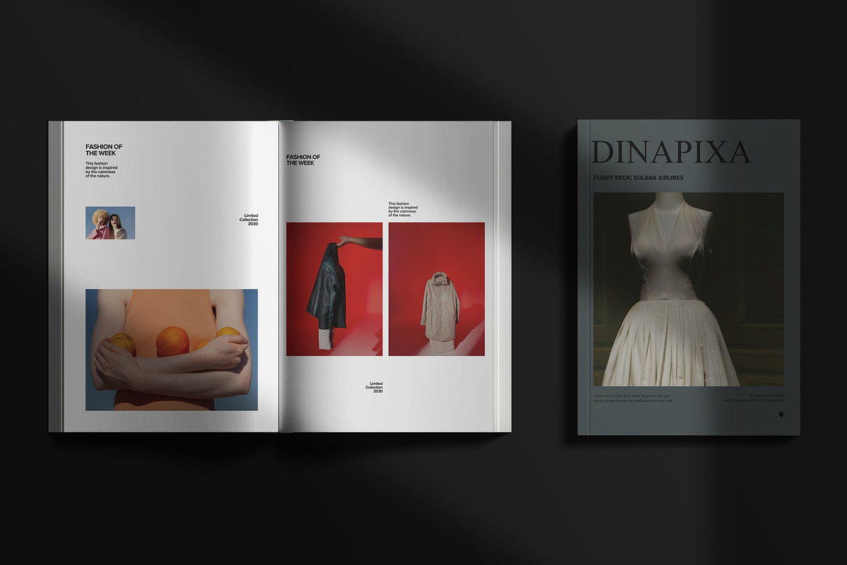 Book/Magazine Mockups, a Books & Magazine Mockup by Sweetdady (Photo 5 of 12)