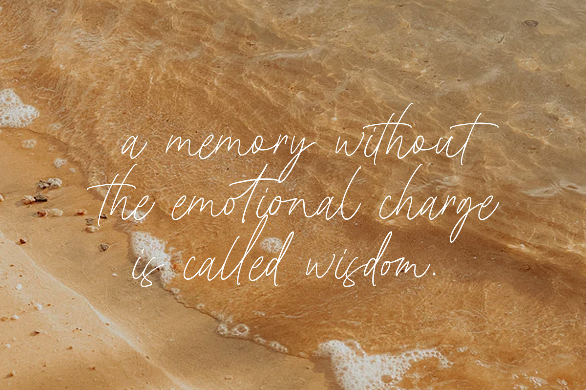 Wednesday Island - Chic Handwritten, a Script Font by Littlehand (Photo 4 of 10)