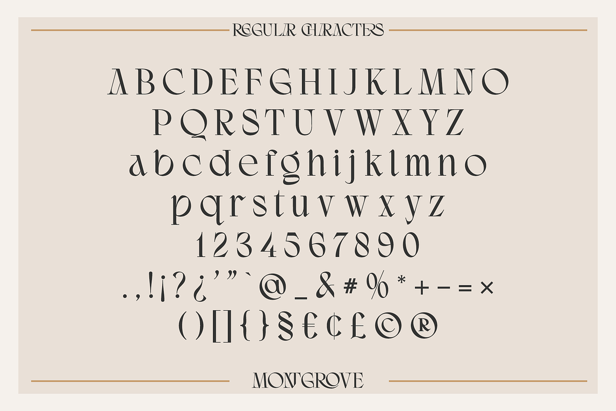 Montgrove - Ligature Serif Font, a Sans Serif Font by Surplus Type Co (Photo 2 of 11)