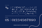 Paverina Modern Elegant Display Font, a Serif Font by Rasio Studio (Thumbnail 2 of 9)