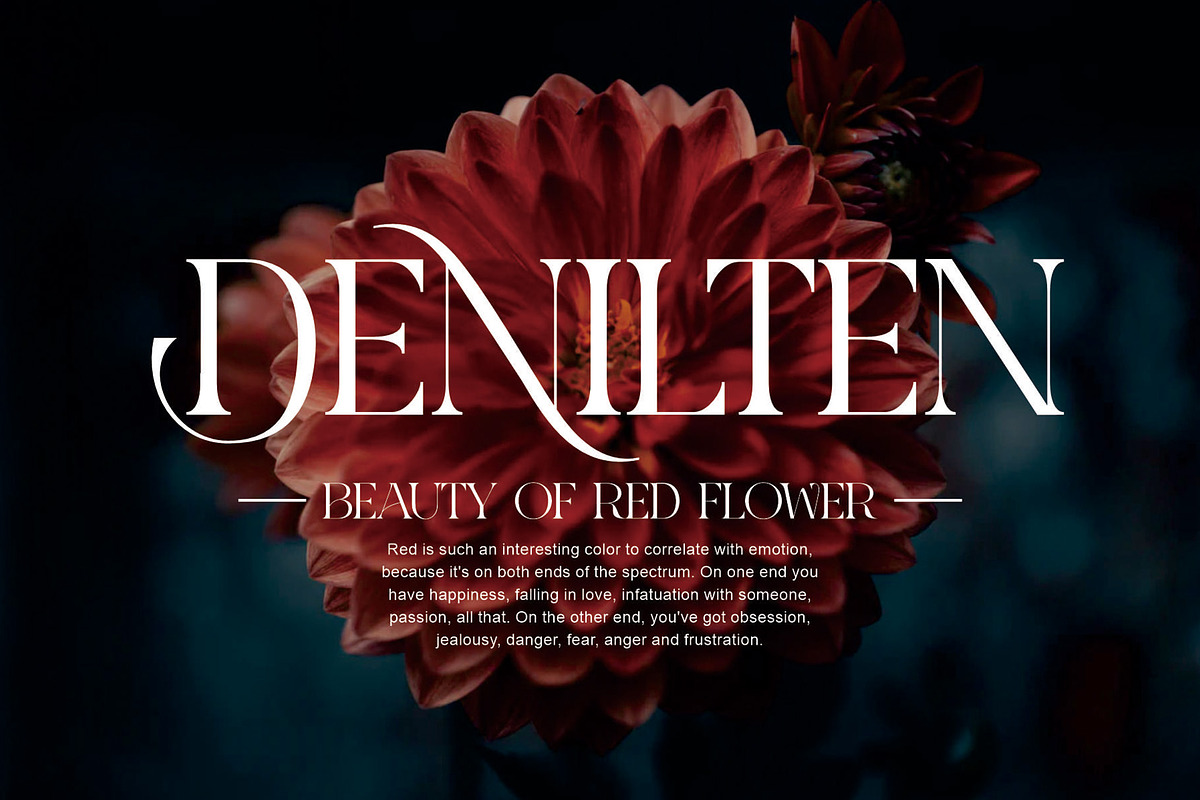 KUINCA Modern Ligature Serif, a Serif Font by Alfinart (Photo 3 of 8)