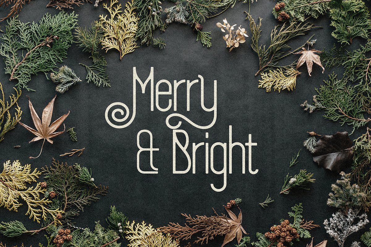 SLTF Holiday Whispers Typeface, a Sans Serif Font by SilverStag Type Foundry (Photo 5 of 20)