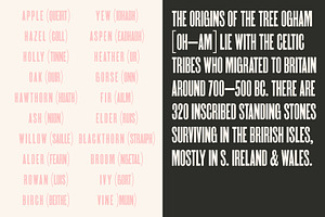 Ogham Condensed - Font