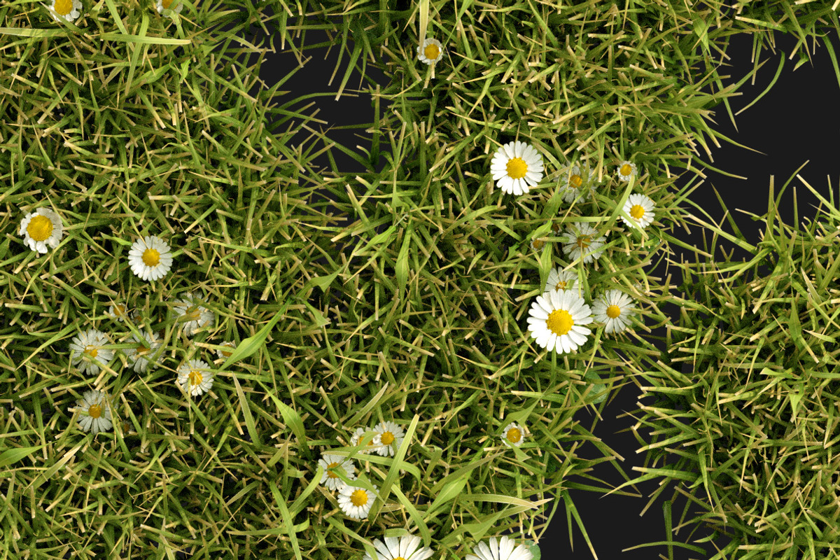 Daisy Font, a Font by Handmadefont (Photo 4 of 9)