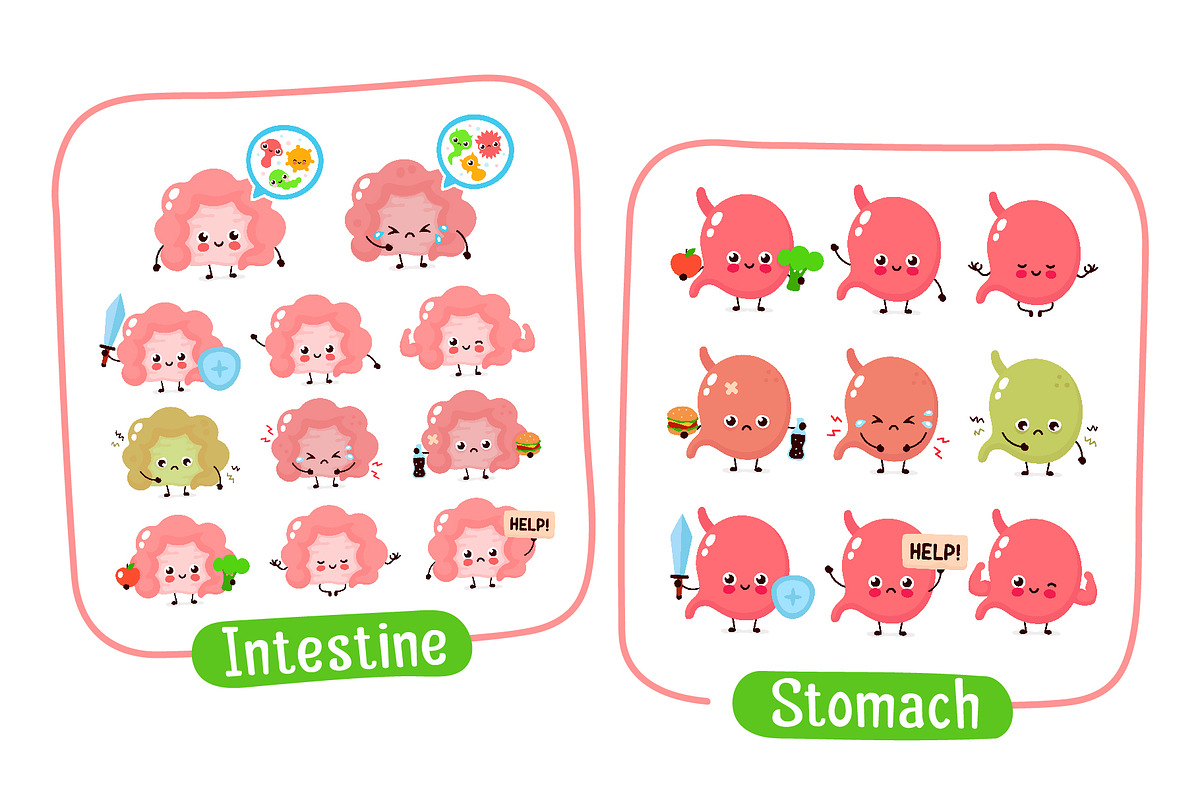 Cute human organs set, a Food Illustration by Slavko Kahovsky (Photo 2 of 9)