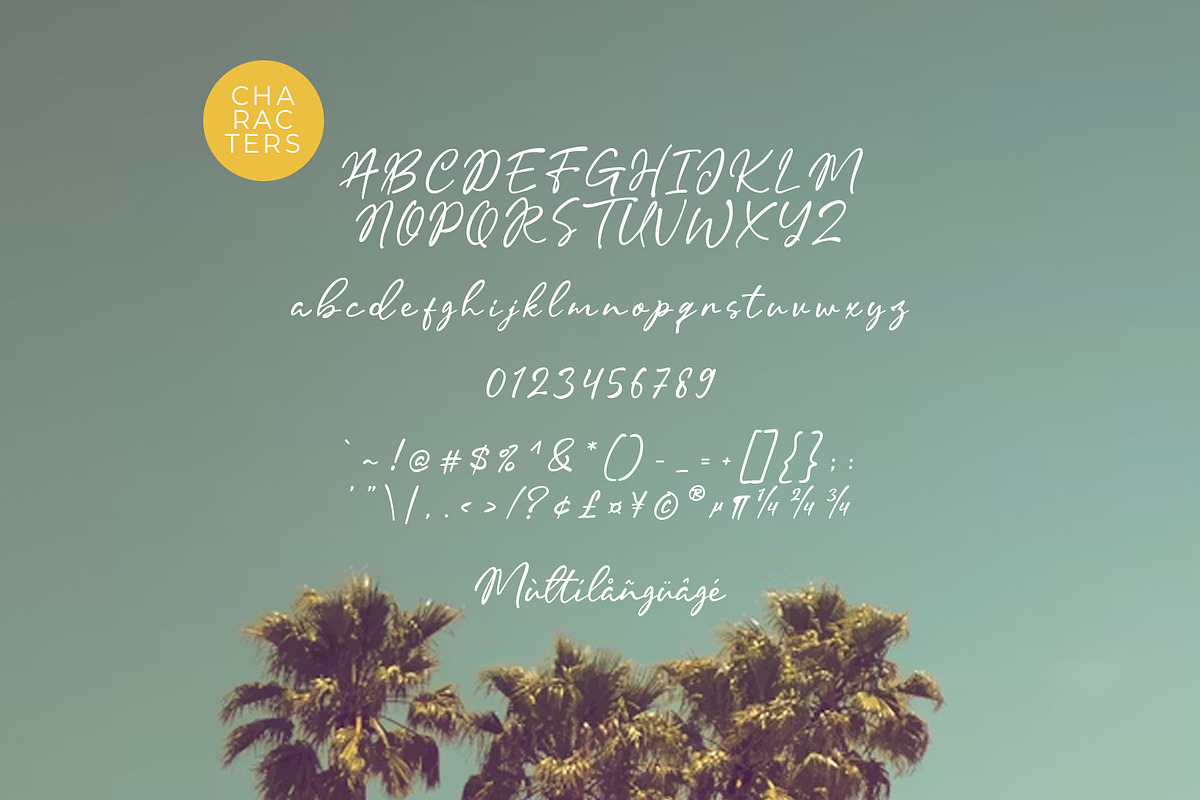 Malline Script, a Script Font by khurasan (Photo 9 of 9)