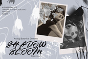 Shadow Bloom Analog Botanical PNG, an Object Graphic by DreamoraArt (Thumbnail 1 of 10)