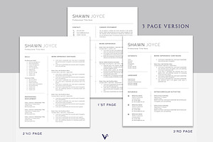 Professional CV Template