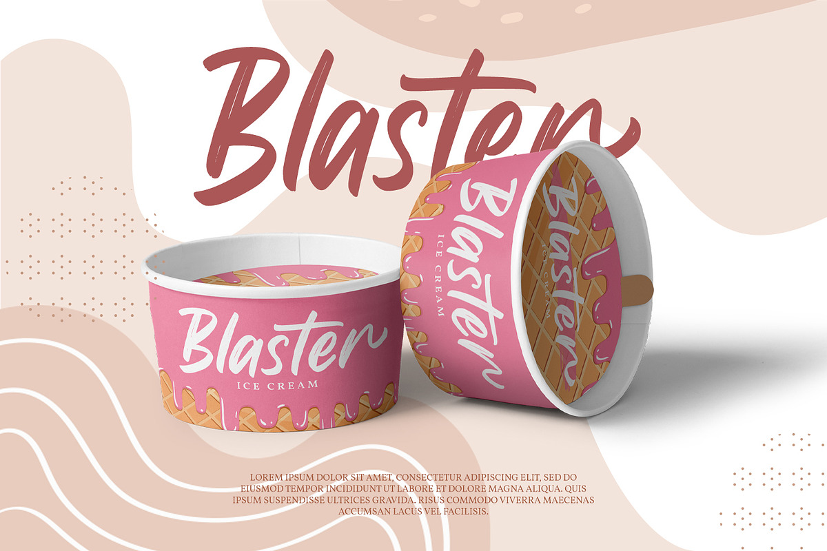 Megiday, a Script Font by Ditatype (Photo 3 of 8)