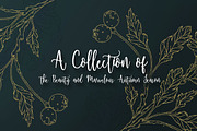 Golden Autumn Berries Background Set, a Background Graphic by Euonia Meraki (Thumbnail 2 of 15)