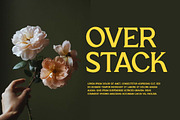 Retro Groove Retro Serif Font, a Serif Font by UICreative (Thumbnail 2 of 13)