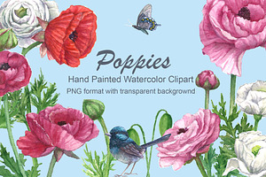 Poppies@Bird Watercolor Clipart