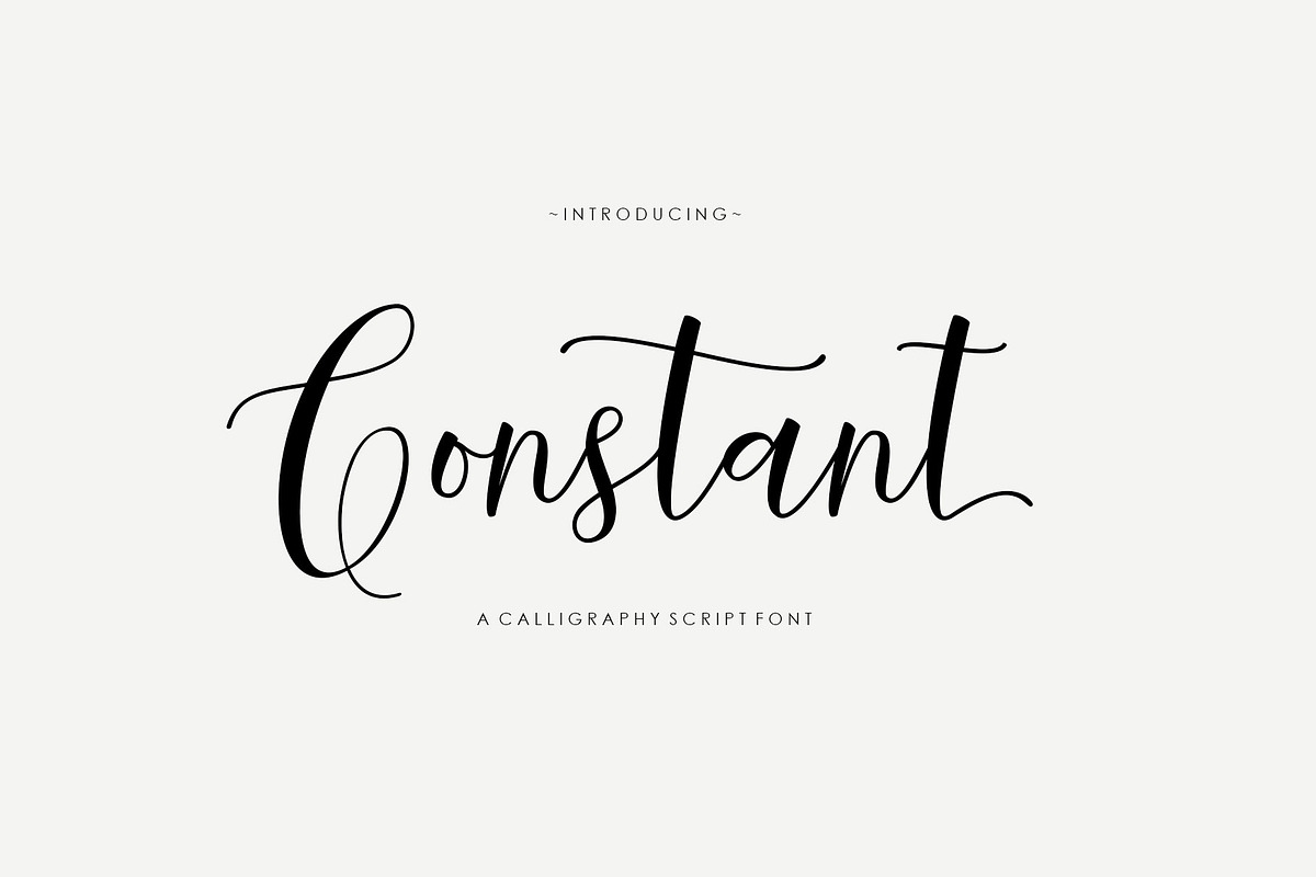 Constant script, a Script Font by Artic Type (Photo 1 of 6)