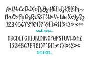 Beachwood Font Duo, a Script Font by Denise Chandler (Thumbnail 8 of 8)