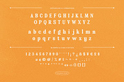 Velvet Mango – Retro Serif Font, a Serif Font by Krismagraph (Thumbnail 9 of 12)