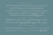 Sheyotu Etrella Stylish Handwritten, a Script Font by stylishtype.co (Thumbnail 18 of 20)