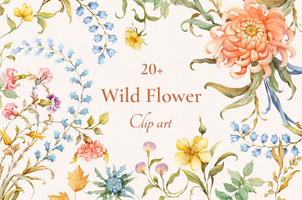 Wild Flower Clip art, a Decorative Illustration by Ekaproeka