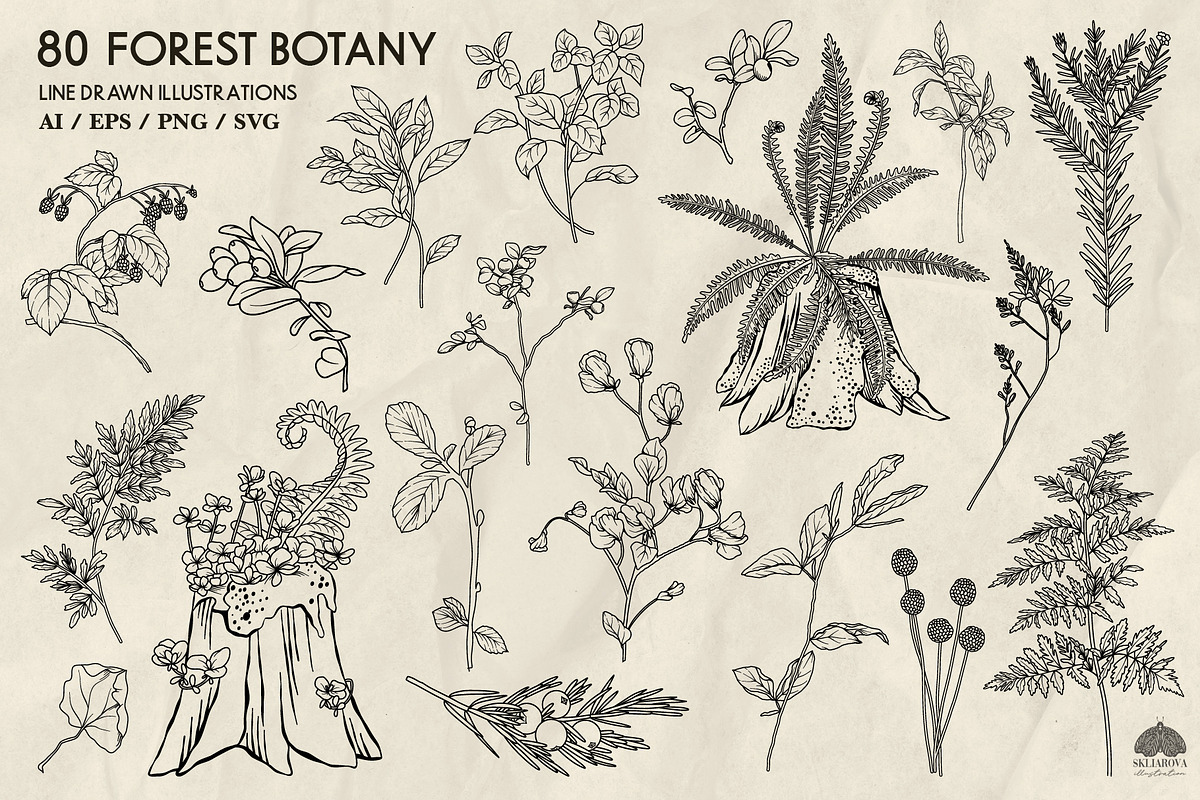 Forest Botany Line Art + Procreate, a Brush Add-On by Skliarova (Photo 5 of 6)