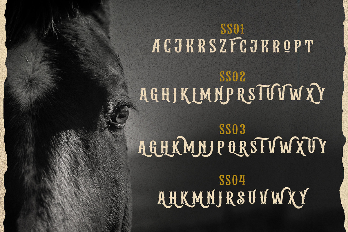 Albertson - Vintage Font, a Serif Font by Arterfak Project (Photo 12 of 13)