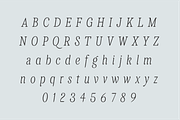 Levino Font Family, a Font by Punch (Thumbnail 3 of 10)