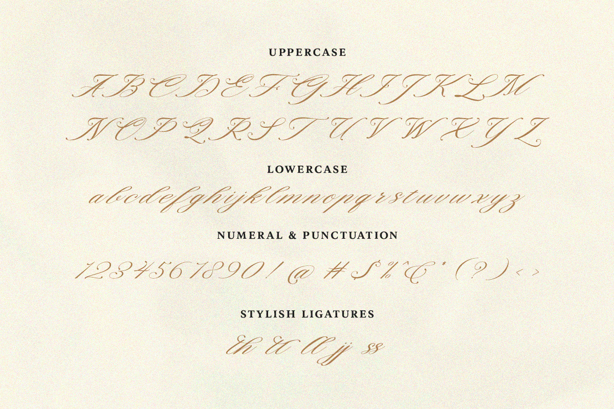 Monarchy Script, a Script Font by Romiecreative (Photo 10 of 12)